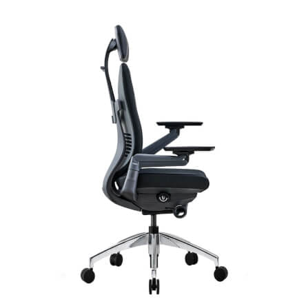 เก้าอี้เพื่อสุขภาพ DF PROCHAIR รุ่น Challenge สีดำ_3